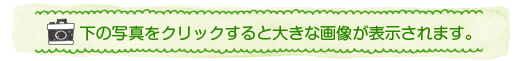 下の写真をクリックすると大きく表示されます